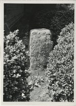 <span itemprop="name">Campus 1980-1989</span>